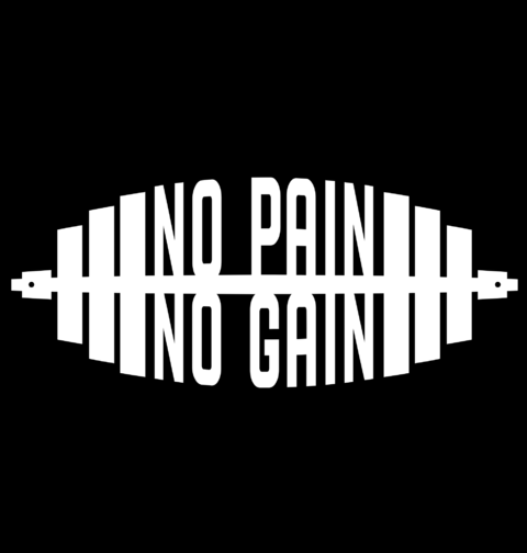 Obrázek produktu Pánské tričko Bez dřiny nejsou svaly No Pain No Gain