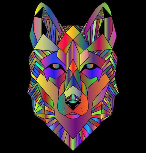 Obrázek produktu Dámské tričko Barevná Duše Vlka Geometric Wolf