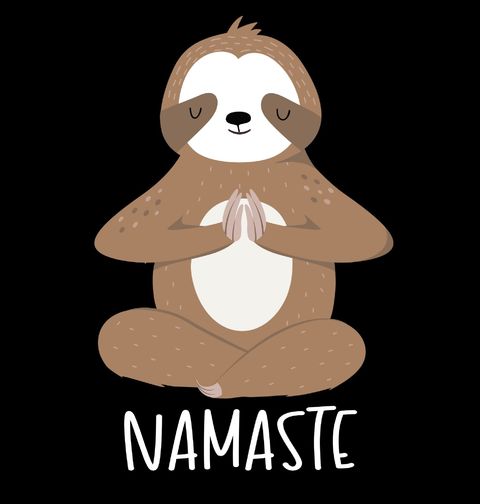 Obrázek produktu Pánské tričko Lenochod Namaste