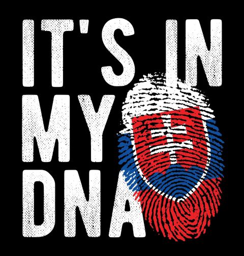 Obrázek produktu Pánské tričko Slovensko v mém DNA It's in my DNA