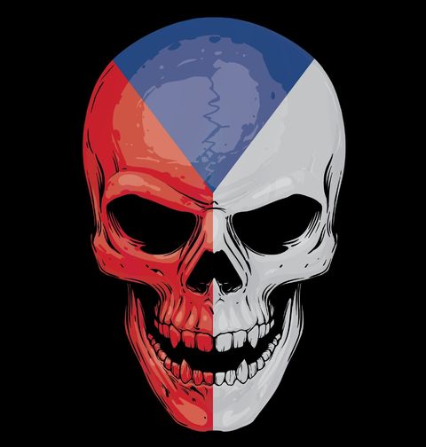 Obrázek produktu Pánské tričko Česká lebka Czech Skull Flag