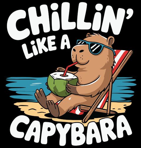 Obrázek produktu Dámské tričko Kapybara na Pláži Chillin' like a Capybara