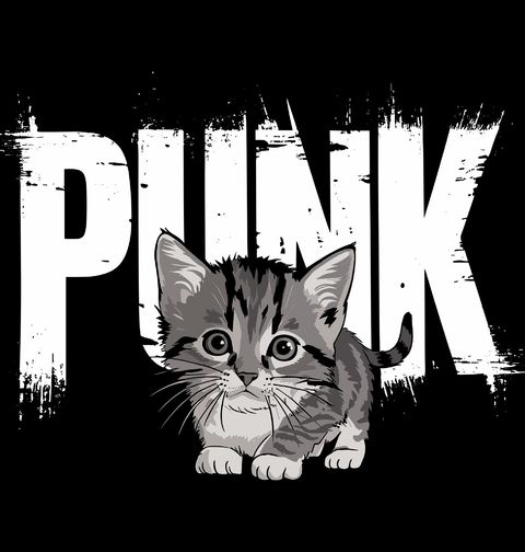 Obrázek produktu Pánské tričko Punk Kotě Punk Cat