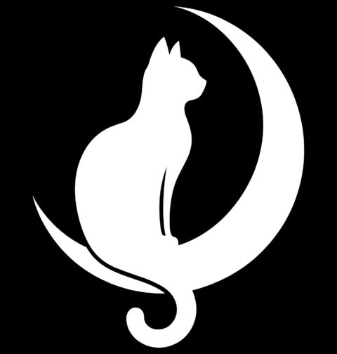 Obrázek produktu Pánské tričko Kočičí Půlměsíc Cat Moon