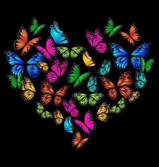 Obrázek 2 produktu Dámské tričko Srdce z Motýlů Butterfly Heart