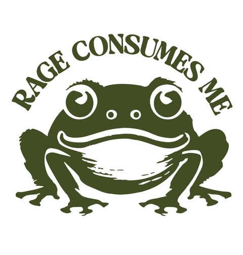 Obrázek produktu Dámské tričko Pohlcuje mě vztek Žába Rage Consumes Me