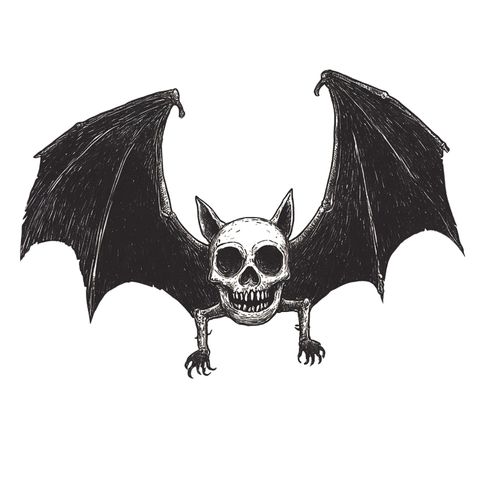 Obrázek produktu Pánské tričko Bájný Netopýr Smrti Bat Skull of Death