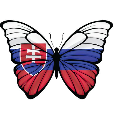 Obrázek produktu Dětské tričko Motýl Slovenska Slovakia Butterfly