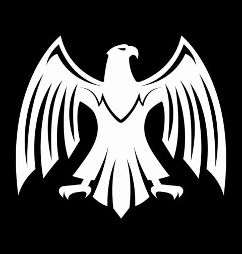 Obrázek produktu Pánské tričko Síla orlice