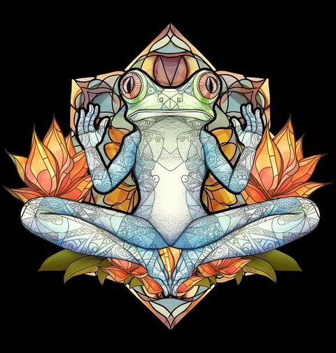 Obrázek produktu Dámské tričko Meditující Žába Stained Glass Frog