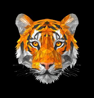 Obrázek 2 produktu Pánské tričko Pohled Tygra Polygon Tiger