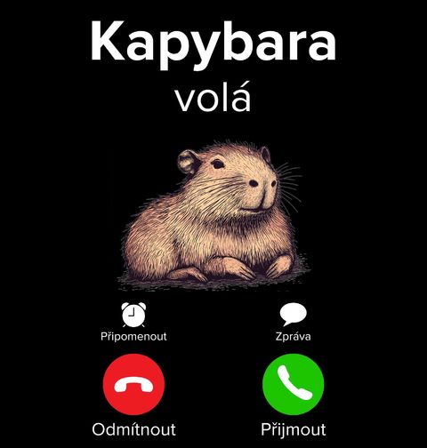 Obrázek produktu Pánské tričko Kapybara volá Phone Call