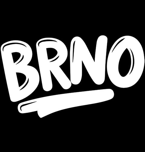 Obrázek produktu Dětské tričko Brno? To si musíš zažít