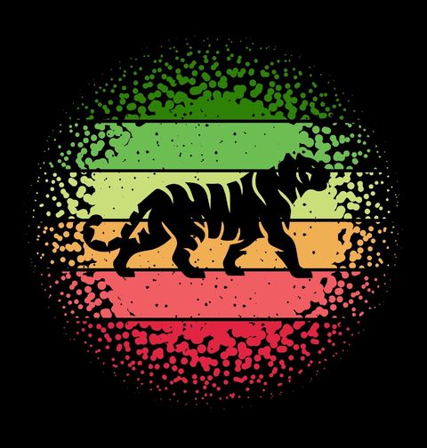 Obrázek produktu Pánské tričko Rasta Tygří Síla