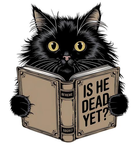 Obrázek produktu Pánské tričko Už je Schrödinger mrtev?