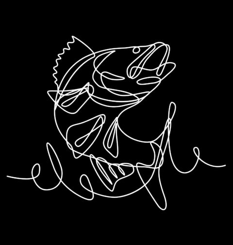 Obrázek produktu Pánské tričko Candát jedním tahem One Line Art