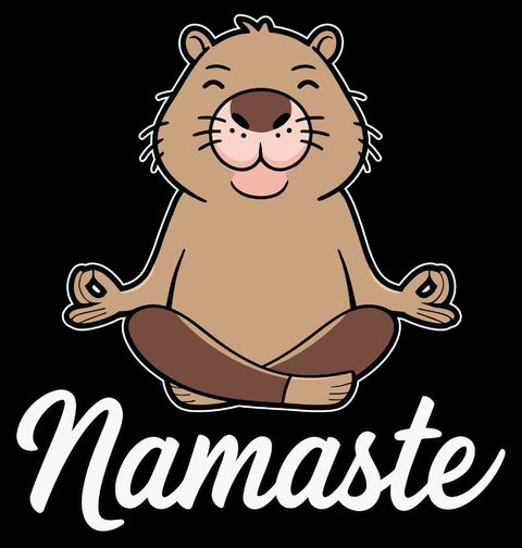 Obrázek produktu Pánské tričko Meditující Kapybara Namaste