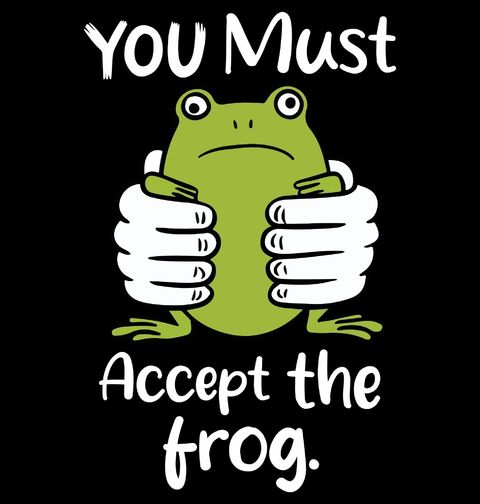 Obrázek produktu Pánská mikina Musíš přijmout žábu You must accept the frog