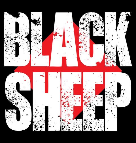 Obrázek produktu Pánská mikina Černá ovce BLACK SHEEP