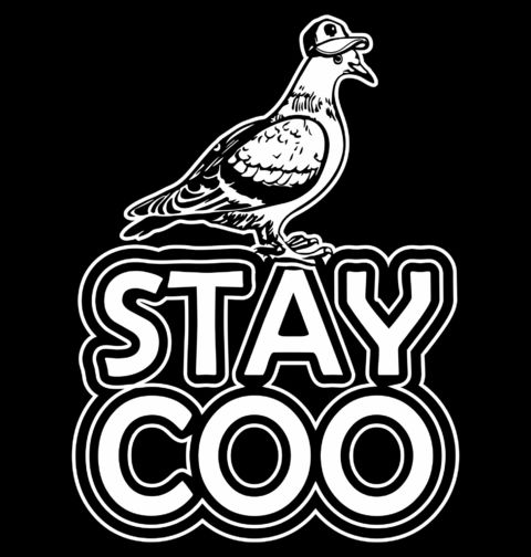 Obrázek produktu Dámské tričko Stay Coo!