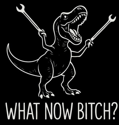 Obrázek produktu Pánské tričko Rozzuřený T-Rex What now bitch?