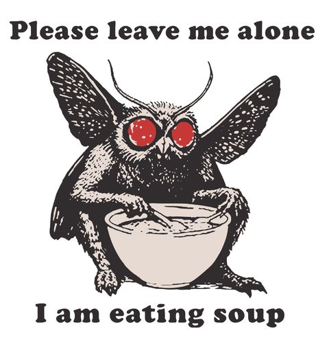 Obrázek produktu Dámské tričko Mothman s Polévkou