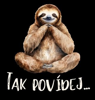 Obrázek 2 produktu Pánské tričko Lenochod Terapeut Tak povídej...