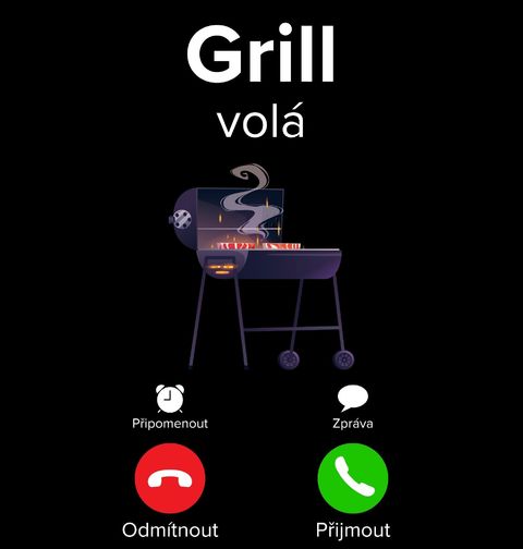Obrázek produktu Pánská mikina Grill volá Phone Call