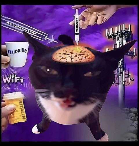 Obrázek produktu Dámské tričko Brainswashed kočka