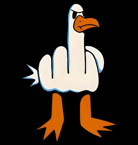 Obrázek produktu Pánské tričko Kachna s Prostředníčkem I Don't Give a Duck