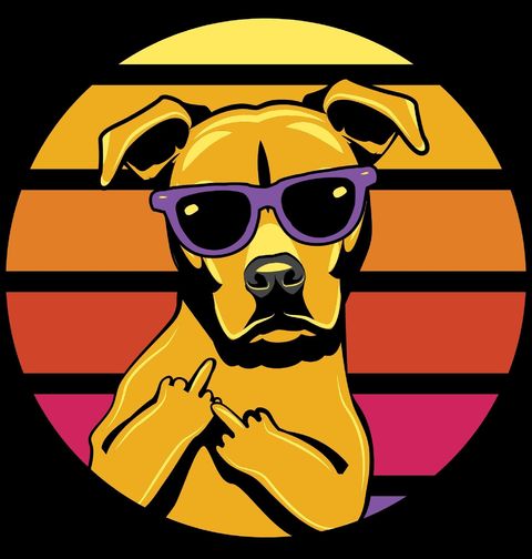 Obrázek produktu Dámské tričko Drsný Pes s Prostředníčkem Retro Thug Dog