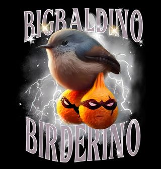 Obrázek 2 produktu Pánská mikina Italský Brainrot Bigbaldino Birderino