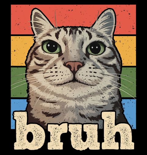 Obrázek produktu Dámské tričko Mourovatá Kočka Cat Bruh