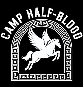 Obrázek 2 produktu Pánská mikina Tábor Polobohů Camp Half-Blood