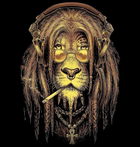 Obrázek produktu Pánské tričko Zlatý Rasta Lev