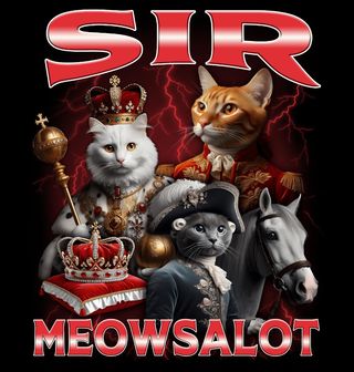 Obrázek 2 produktu Dámské tričko Královská kočka Sir Meowsalot