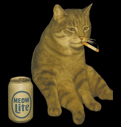 Obrázek produktu Pánské tričko Kočka s Pivem Meow Lite