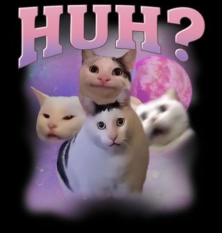 Obrázek 2 produktu Pánské tričko Překvapená Kočka Huh? Cat