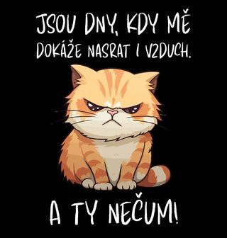 Obrázek 2 produktu Pánské tričko Jsou dny, kdy mě dokáže nasrat i vzduch. A ty nečum! (Velikost: XL)