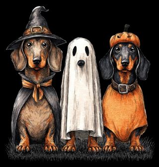 Obrázek 2 produktu Dětské tričko Jezevčíci v přestrojení na Halloween