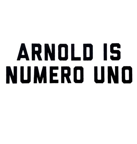Obrázek produktu Dámské tričko Arnold is Numero Uno