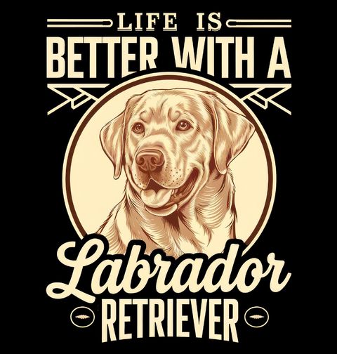 Obrázek produktu Pánské tričko Život je lepší s Labradorským retrívrem