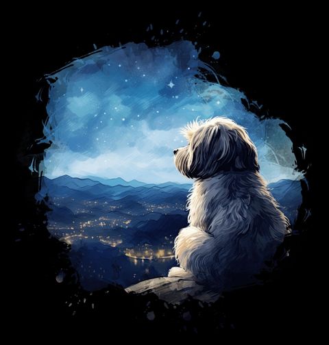Obrázek produktu Dámské tričko Noční Hlídač Města Shih-tzu