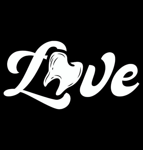 Obrázek produktu Dámské tričko Láska k Zubařům LOVE