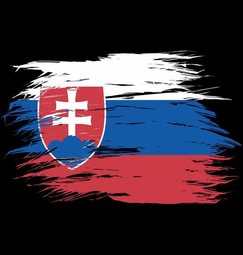 Obrázek produktu Dámské tričko Slovenská Vlajka se Státním znakem