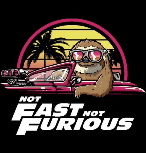 Obrázek produktu Pánské tričko Lenochod v Autě Not Fast Not Furious