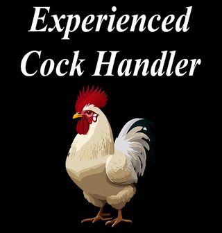 Obrázek 2 produktu Pánské tričko Zkušená Slepice Experienced Cock Handler