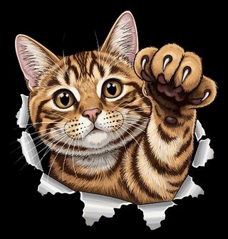 Obrázek 2 produktu Pánské tričko Mourovatá Škrábající Kočka Tabby cat