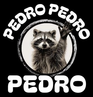 Obrázek 2 produktu Pánské tričko Legendární Mýval Pedro Pedro Pedro