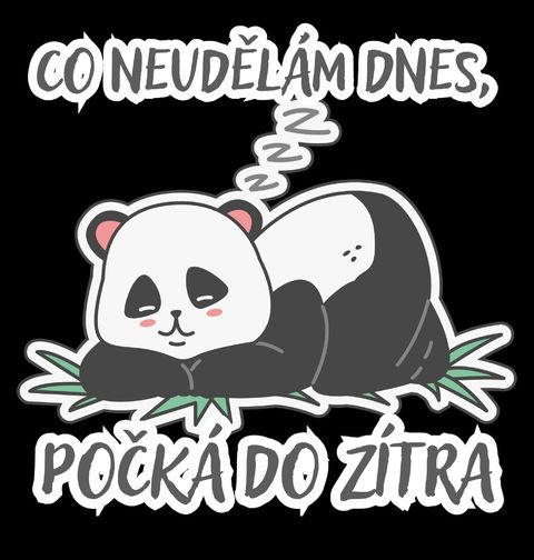 Obrázek produktu Dětské tričko Spící Panda Co neudělám dnes, počká do zítra
